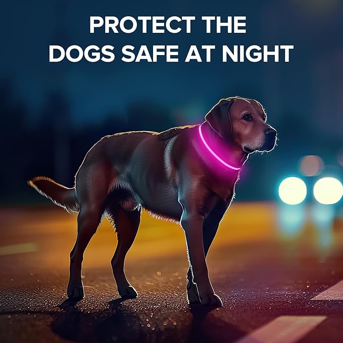 Light Up Dog Collar, Adjustable USB Rechargeable Glow in Dark Dog Collar ，Waterproof Dog Collars for Medium Dogs (Pink, Medium)