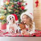 Rypet Pet Christmas Toy Dog Stuffed Squeaky Toys Puppy Durable Plush Toy Reindeer Dog Toys for Medium Small Dogs