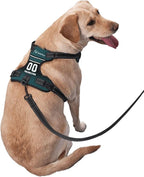 Custom Philadelphia Dog Harness with Reflective Stripes Personalized Name and Number Dog Vest Harness with Pet Traction Rope for Small Medium Large Dog