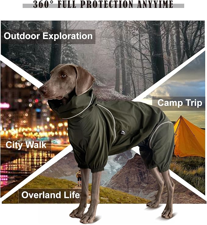 Dog Lightweight Windbreaker, Dog Outdoor 4-Legs Jacket, 0.5 lbs,Durable Water Repellent, Hooded, Easy on/Off with Collar and Harness, Reflective, Packable,Dark Olive -XXX-Large (Male)