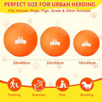Herding Ball for Dogs 18 Inch - Dual-Layer Heavy Duty Herding Ball for Australian Shepherds, Border Collies & Corgis | Outdoor Herding Toy for Small/Medium Dogs - Backyard Training and Play - Orange