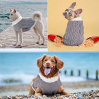 Small Dog Sweaters with Leash Hole Turtleneck Dog Sweaters Knitwear Boys Girls Warm Soft and High Stretch Pet Clothes for Fall Winter，Pet Shirts for Kitten Puppy Grey Medium