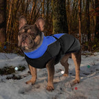 IECOii Extra Warm Dog Coat - Reflective Adjustable Jacket With Buckle Fleece Turtleneck for Cold Weather - Soft Winter Coat for Small Medium Extra Large Dogs