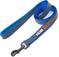 Pawtitas Personalized Dog Leash Embroidered Customize Your Pet Name & Phone Number Puppy Reflective 6 ft Long Small Blue Custom Tag Name, Blue Reflective 🔦 Padded