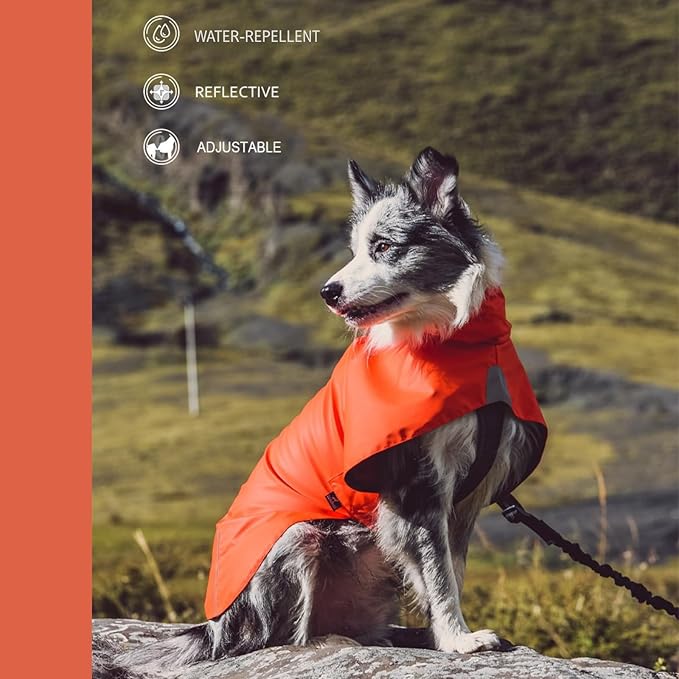 Dog Water-Repellent Raincoat Jacket, Lightweight Reflective Waterproof Clothes for Small Medium Large Dogs, Outdoor for Fall & Spring (Orange, XL)