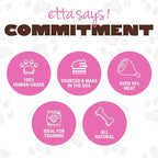 etta says! Big Yumm Sticks - Real Meat Pork Dog Jerky Treats - Human Grade - Made in The USA (12 Count Pack of 1)