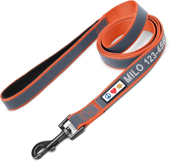 Pawtitas Personalized Dog Leash - Embroidered Customize Your Pet's Name & Phone Number - Reflective 6 ft Long Orange Leash