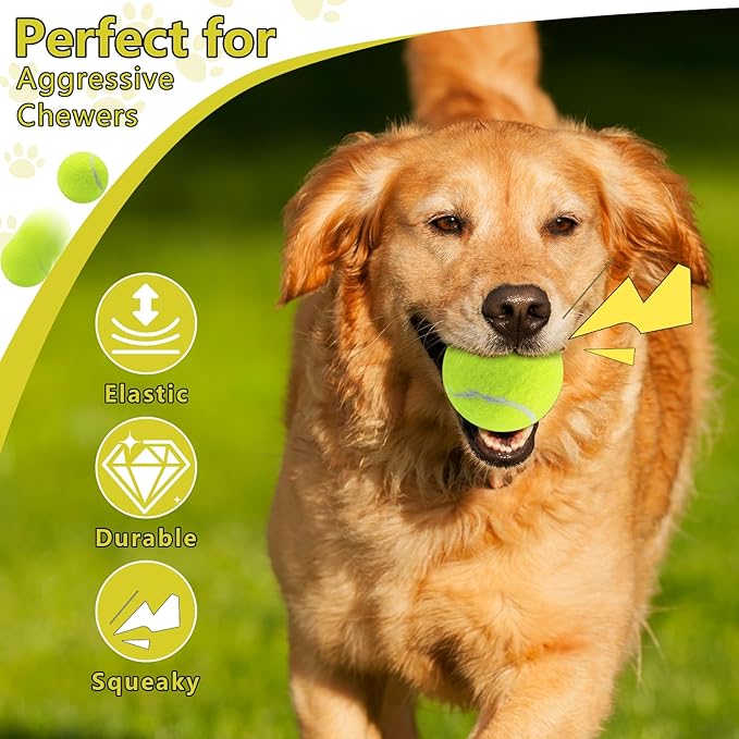 Swingers Squeaky Tennis Balls for Dogs,2.5 inch Training Tennis Balls,Exercise Ball for Pet Dog with Mesh Carry Bag Easy to Transport (Yellow, 24 Pack)