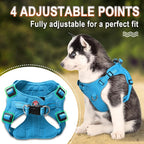 Dog Harness Step in Dog Vest Harness, Reflective Adjustable Puppy No Pull Harness Breathable Soft for Small and Medium Dogs Cats, Blue, XS