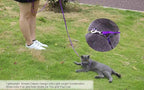 AMAGOOD 6 FT Puppy/Leash, Strong Traditional Style with Easy to Use Collar Hook, Great for Small, Medium and Large Dogs (5/8in x 6 ft, Purple)