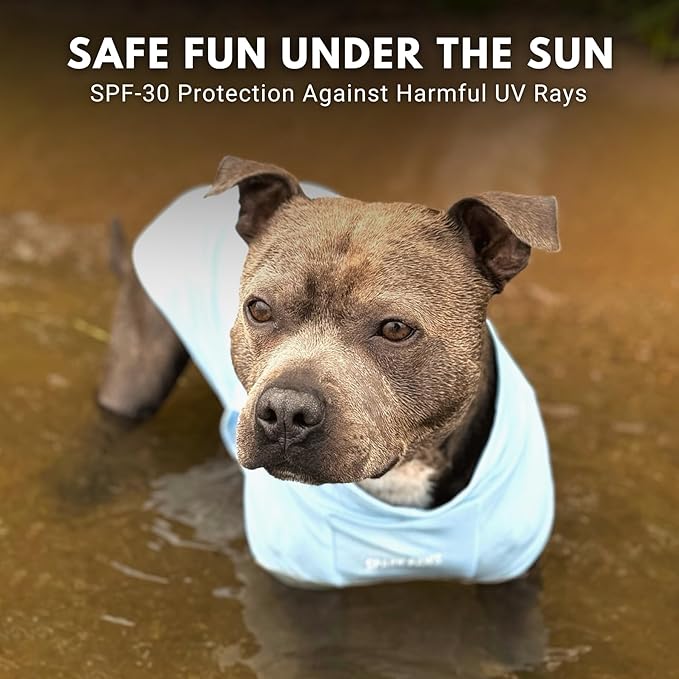 Spark Paws Sunblock Dog T-Shirt, SPF30 Protection, Lightweight Breathable Quick Dry for Dogs with Sensitive Skin - Blue & Grey (Set of 2) - 3XL