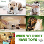 Dog Chew Toys for Small to Medium Dogs - 10 Pack Tough Dog Toys, Interactive Rope Teething Toy for Puppy, Durable Tug of War Toy, Birthday and Festival Gift Set