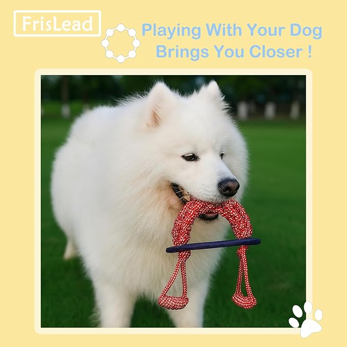 2-in-1 Dog Tug of War Rope and Frisbee, Dog Toy,Tough Rope Toy, Flying Disc, Tug Toy for Outdoor and Indoor Play (Iris Blue)