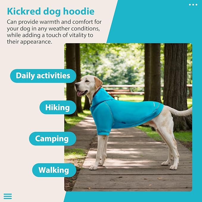 Basic Dog Hoodie Sweatshirts, Pet Clothes Hoodies Sweater with Hat and Leash Hole, Soft Cotton Outfit Coat for Small Medium Large Dogs, Royal Blue (XX-Large)