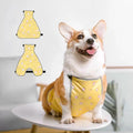 Waterproof Belly Shield for Corgis & Dachshunds – Adjustable underbelly Protector. Male/Female Designs. Stays Dry in rain, mud & Grass. Ideal for Sensitive Skin (Yellow - Female, L)