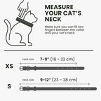 BRONZEDOG Leather Cat Collar with Removable Bells Non Breakaway Kitten QR Tag for Girl Boy (7" - 9" for Cats, Black & Gold)