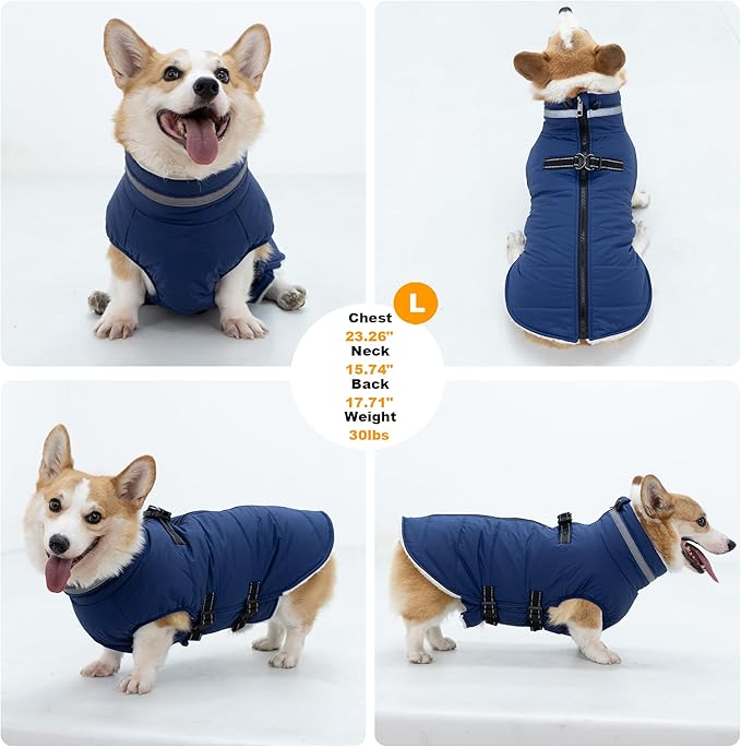 Large Dog Coat with Harness Built-in, Waterproof Reflective Fleece Lined - Warm Windproof Winter Jacket with Back Zipper, Cold Weather Snow Dog Coats - Blue - 2XL