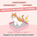 Dr.by UT Care Cat UTI Kidney Support Urinary Supplement Cranberry Treatment for Cats Renal Health with Pacran, Quercetin, Taurine lickable Formula Individually Packaged (1 Pack)
