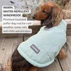 DJANGO Puffer Dog Coat – Warm Winter Dog Jacket & Water-Repellent Insulated Puffer Vest with Striped Lining, Harness Hole, Adjustable Fit for Small & Medium Dogs, Dachshunds – Sea Foam Green, Large