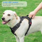 No Pull Dog Harness Adjustable Reflective Oxford Easy Control Medium Large Dog Harness with A Free Heavy Duty 5ft Dog Leash (S (Neck: 13"-18", Chest: 17.5"-22"), Blue Harness+Leash)