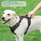 No Pull Dog Harness Adjustable Reflective Oxford Easy Control Medium Large Dog Harness with A Free Heavy Duty 5ft Dog Leash (XL (Neck: 21.5"-33", Chest: 30"-39.5"), Black Harness+Leash)