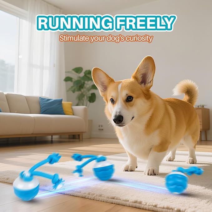 Interactive Dog Toys Multiple Modes Moving Dog Ball with Touch Activated queaky Dog Toy for Small/Medium Puppy Toys for Daily Training (Blue)