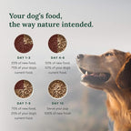 360 Pet Nutrition Freeze-Dried Raw Dog Food – Multi-Protein with Beef, Chicken, Fish, Liver & Organs, High Protein, Omega-3s, Fruits, Veggies & Superfoods, Grain-Free, No Fillers, 1 lb – Made in USA