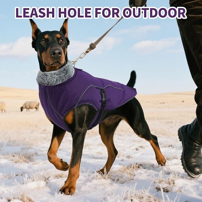 DENTRUN Dog Winter Coat - Windproof Reflective Jacket, Plush Turtleneck & Adjustable Belt, Water Repellent Fleece Lined Cold Weather Vest for Corgi Bulldog, Purple, L