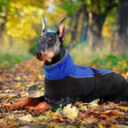 IDOMIK Dog Winter Coat, Reflective Waterproof Dog Jacket for Cold Weather, Warm Pet Coats for Small Medium Large Dogs, High Collar Doggy Fleece Snow Jacket, Winter Vest with Adjustable Buckle,S
