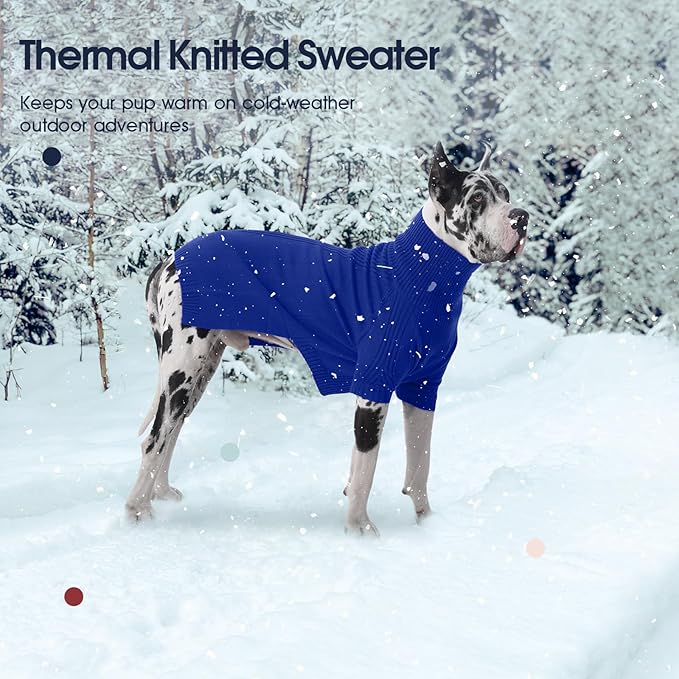 IECOii Dachshund Sweater,Turtleneck Dog Sweater for Small Medium Dogs Girl,Stretchy & Breathable,Warm Knitted Pullover Coat,High Neck Knitwear for Cold Weather Indoor & Outdoor Wear (Royal Blue, M)