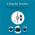 Petivity Smart GPS and Activity Dog Tracker