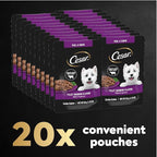 Cesar Filets in Gravy Wet Dog Food Filet Mignon Flavor, 1.76 oz. Mini-Pouch (20 Count, Pack of 1)