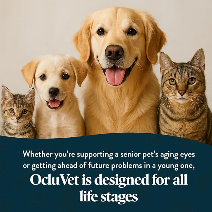 Bundle Eye Supplements for Dogs & Cats | Vision Chews with Omega-3 for All Ages - Includes 15 Chicken Liver Flavored Chews & Pet Eye Drops, 16 mL | Antioxidants & 2% NAC for Cataracts