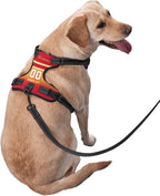 Custom Football Style Dog Harness with Reflective Stripes Personalized Name and Number Dog Vest Harness with Pet Traction Rope for Small Medium Large Dog