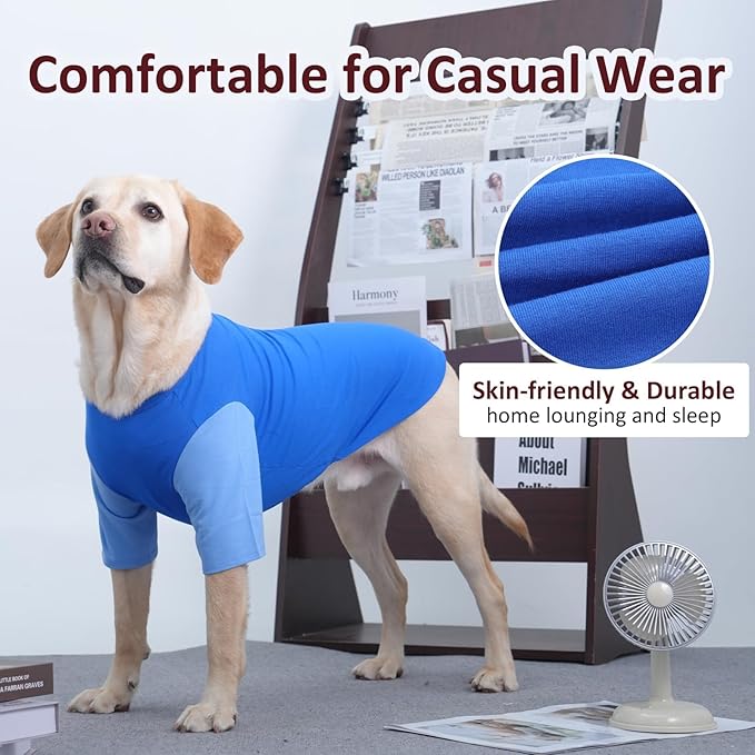 2 Pack Dog Shirt for Medium Dogs - Soft Breathable Summer Cool Tee, Lightweight Comfortable Clothes for Sensitive Skin, Jack Russell, Shihtzu, Indoor Lounging, Walking, Park Play, Blue