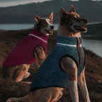 ROZKITCH X-Large Dog Sweater, Stretchy Jacket with Fleece Lining, Knit Pet Coat for Large with Zipper Opening for Harness, Fleece Jumpsuit Adjustable Neck Reflective Pet Jacket Rosered XL