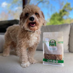 Lucky Premium Treats Chicken Jerky Bits and Strips – Chicken Jerky Treats Made with Sliced, All Natural Lean Dehydrated Chicken Breast (13 oz)