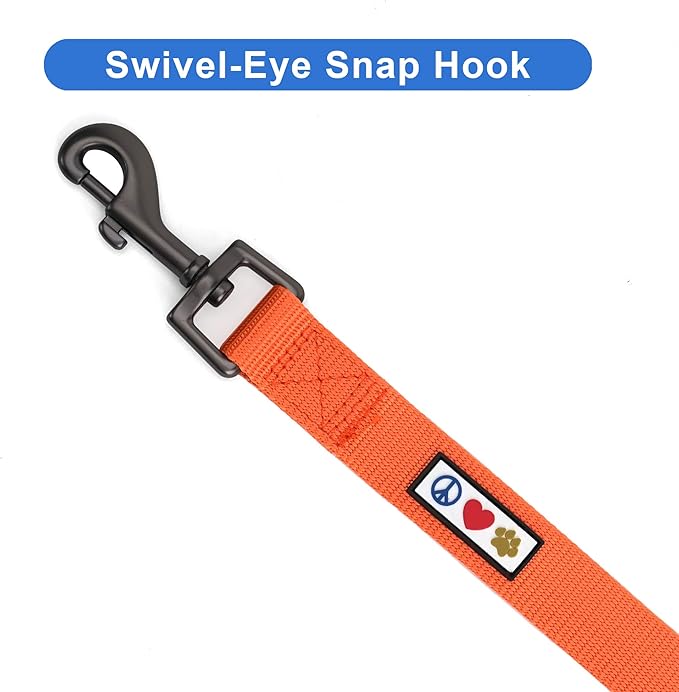 Pawtitas Personalized Dog Leash - Embroidered Custom Leash with Pet Name & Phone Number, 6 ft Long, Extra Small, Orange
