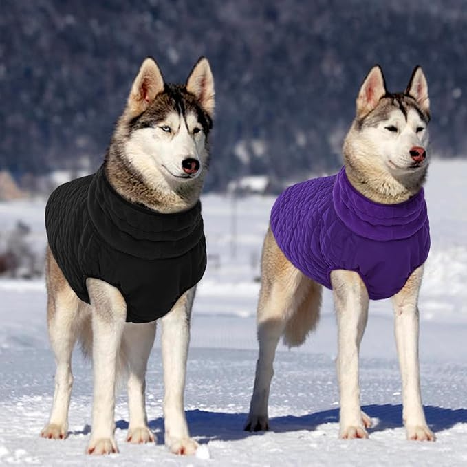 Kuoser Medium Dog Coat | All-Breed Thermal Wear with Windproof Layer | Reflective Tabs Enhance Visibility in Snow, Snap Buckles Simplify Dressing, Black L
