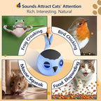 ORSDA Cat Toys, Interactive Cat Toy for Indoor Cats, Automatic Moving Ball Bird for Indoor Adult Cats Kitten Toys All Breeds, Fast Rolling Motion Activated Chirping Stimulating Light, 2 Feather Refill