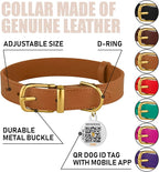 BRONZEDOG Leather Dog Collar with Metal Buckle Durable Basic Pet Collars for Small Medium Large Dogs (11-13 Inch (Pack of 1), Light Brown & Gold Buckle)