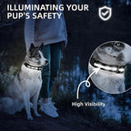 Super Bright LED Dog Collar - Fully Waterproof & Adjustable Glow Collar - USB-C Rechargeable for Night Walking, Safety - Flashing Lighted Collar for Dogs(White,L)