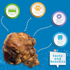 Jack&Pup Beef Bones, Knee Cap for Dogs, Long Lasting Natural Dog Bones, Beef Bone Knee Caps for Large Dogs. (10 Pack)