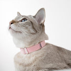 Safety Cat Collar - U.S. IDA Gold Award Design, Stretchy Elastic Quick Release Non Breakaway Cat Collar Light Weight for Kitten All Small Medium Large Cats (Burgundy, S (5.9-11.8 inch))