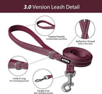 AIITLE Step in Dog Harness and Leash Set - Summer No Pull Escape Proof Vest Harnesses with Soft Mesh and Reflective Bands, Adjustable Pet Outdoor Harnesses for Small and Medium Dogs Burgundy M