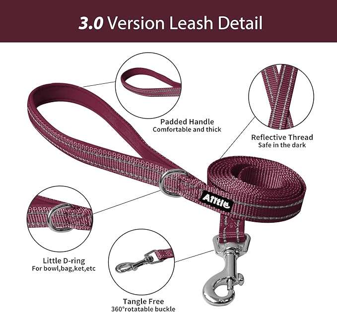 AIITLE Easy Walk Dog Harness and Leash Set - Pet Supply No Pull, Step in Adjustable Pet Harnesses with Padded Vest for Summer, No Choke Over, Easy to Put on Medium Dogs Burgundy L