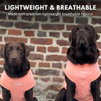 Spark Paws Sunblock Dog T-Shirt, SPF30 Protection, Lightweight Breathable Quick Dry for Dogs with Sensitive Skin - Peach & Mint (Set of 2) - 2XL