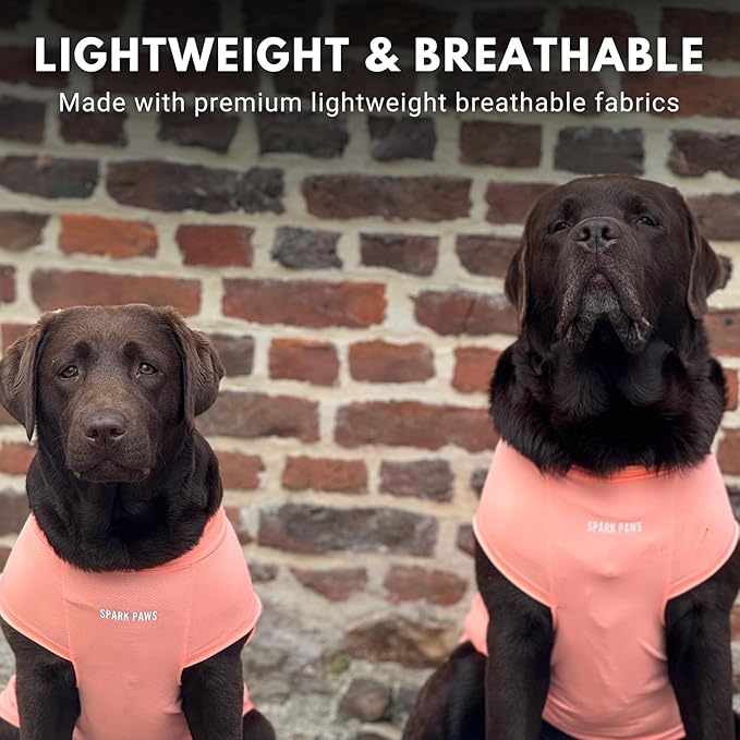 Spark Paws Sunblock Dog T-Shirt, SPF30 Protection, Lightweight Breathable Quick Dry for Dogs with Sensitive Skin - Peach & Mint (Set of 2) - L