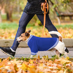 Dog Sweater Brushed Fleece Pet Clothes Baseball Jacket Soft Warm Pet Sweater Dog Sweaters for Small/Medium Dogs Boy Girl(Blue-S/M)