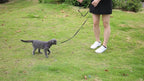 AMAGOOD 6 FT Cat Leash, Strong and Durable Traditional Style Leash with Easy to Use Collar Hook,Cat Lead Great for Cats (3/8 in x 6 ft,Black and Red(2-Pack))